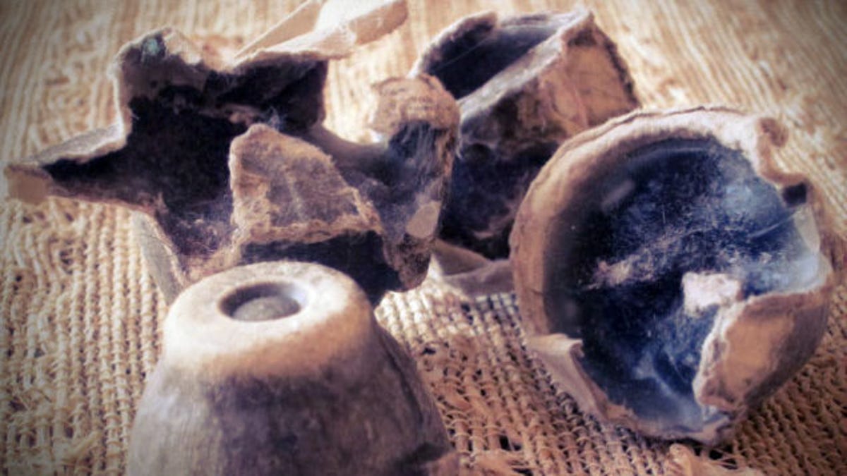 Make Quick And Dirty Fire Starters Out Of Egg Cartons Dryer Lint