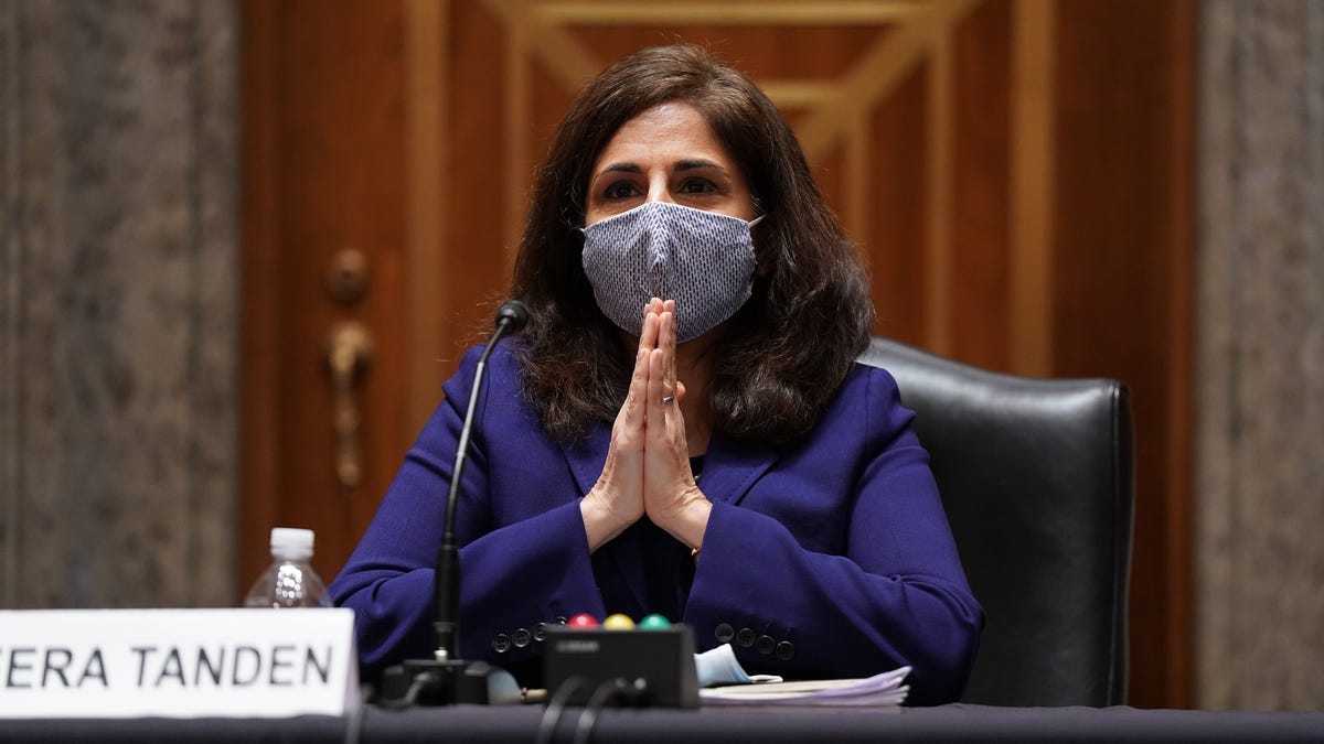 Neera Tanden Sorry for Tweets Criticizing Ted Cruz, Susan ...