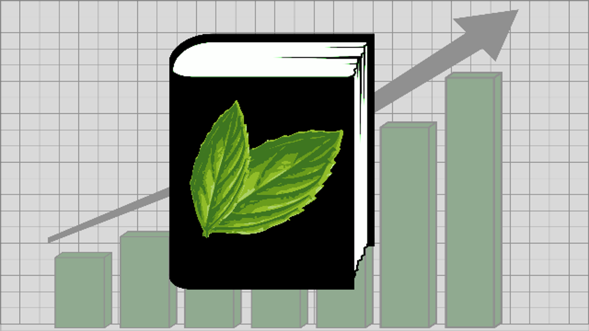 An Intermediate S Guide To Getting More Out Of Mint