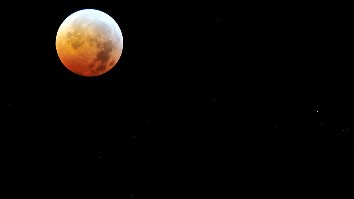 how to see the eclipse brisbane