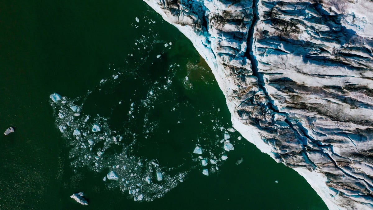 The Arctic Is Undergoing Changes Scientists 'Never Expected Would Happen This Soon'