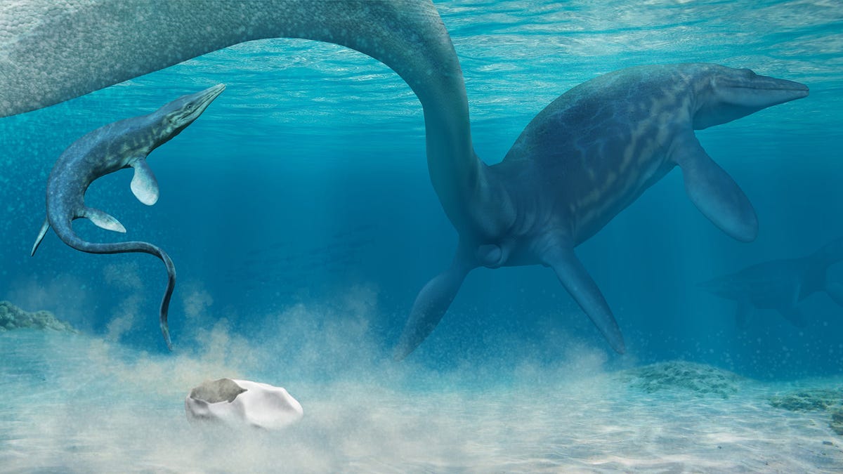 Early Dinosaurs and Prehistoric Sea Monsters Laid Squishy Eggs