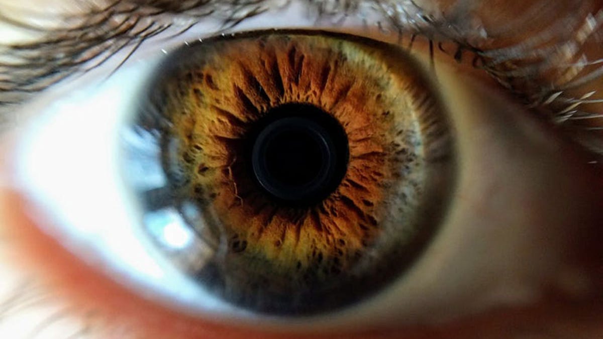Image result for lentillas zoom
