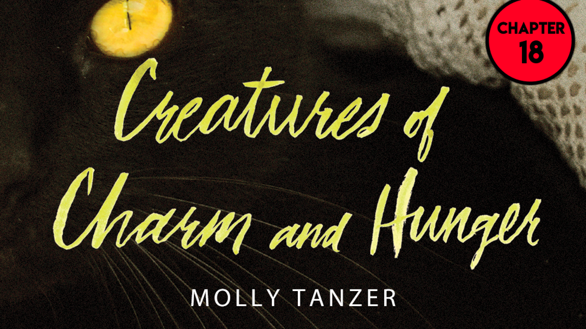 Creatures of Will and Temper by Molly Tanzer