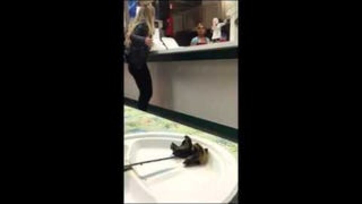 Asshole Restaurant Customer Loses Her Shit, Gets Hilarious Comeuppance