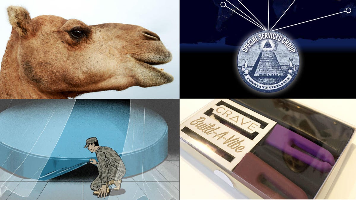 Faux-Pork, Feral Camels, Police Dogs, and Sex Tech: Best Gizmodo Stories of the Week thumbnail