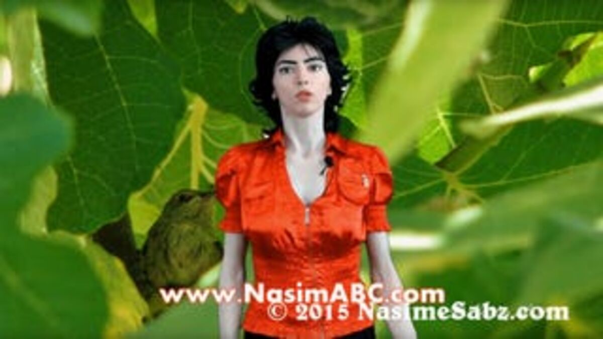 Authorities Fear YouTube Shooter Might Inspire Wave Of Copycat Content