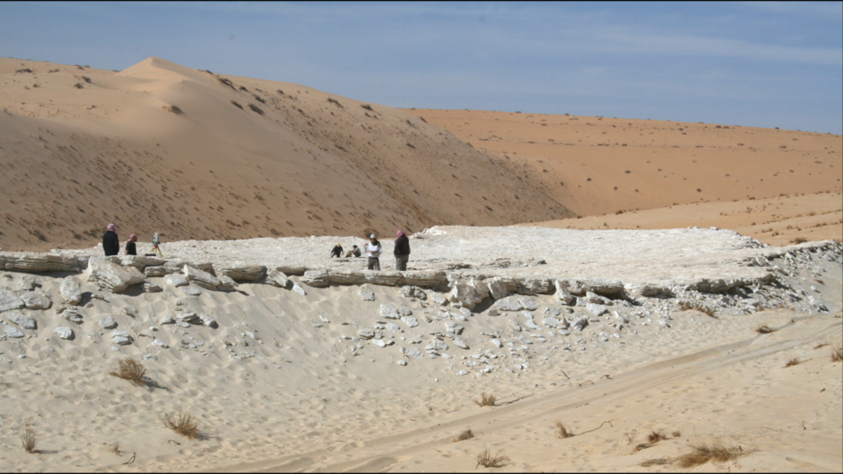 photo of 120,000-Year-Old Human Footprints Mark Possible Migration Route Through Arabian Peninsula image