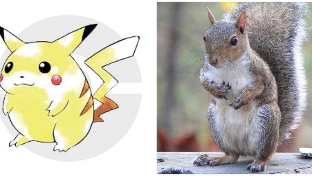 Pikachu Wasn't Based On A Mouse, But A Squirrel