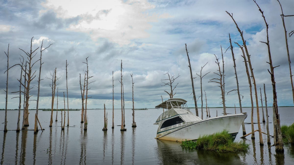 The Paris Agreement Isn't Enough to Stop the Seas From Devouring Our Coasts
