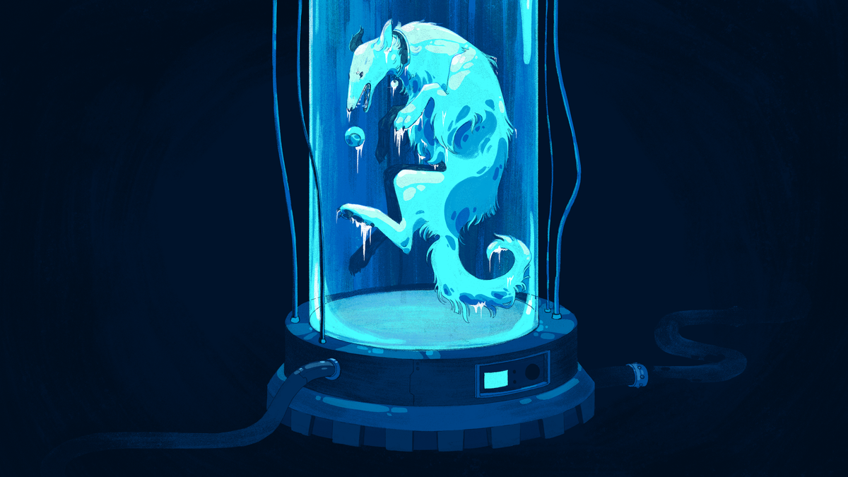 What Happens When You Cryogenically Preserve Your Dog