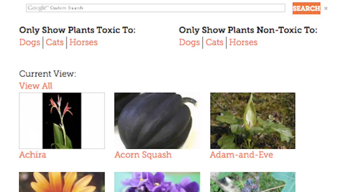 The Aspca S Index Tells You If A Plant Is Safe For Pets Before You Buy