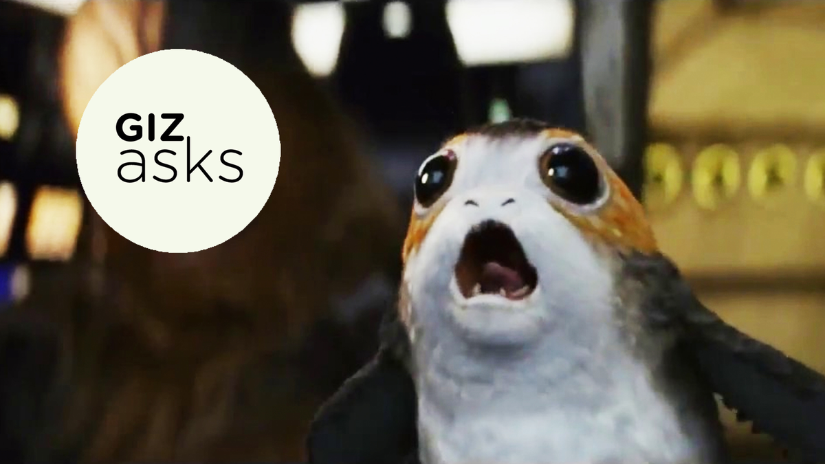 porgs for sale