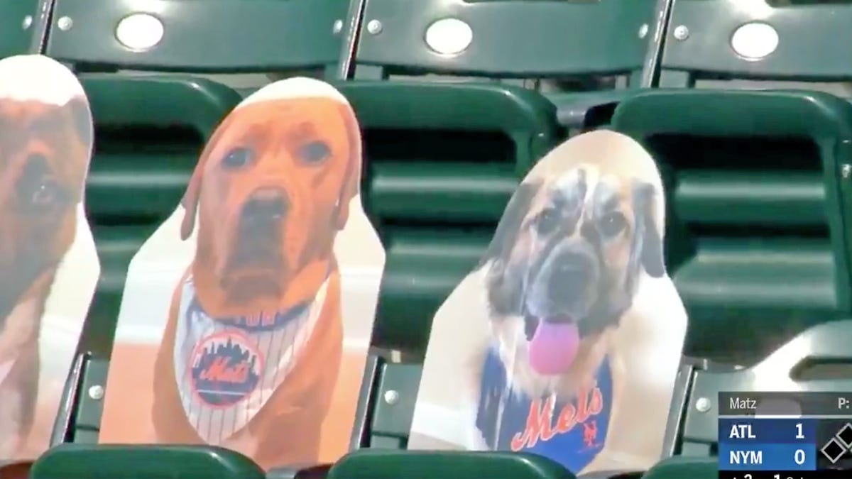 Mets' Jeff McNeil introduces viral puppy