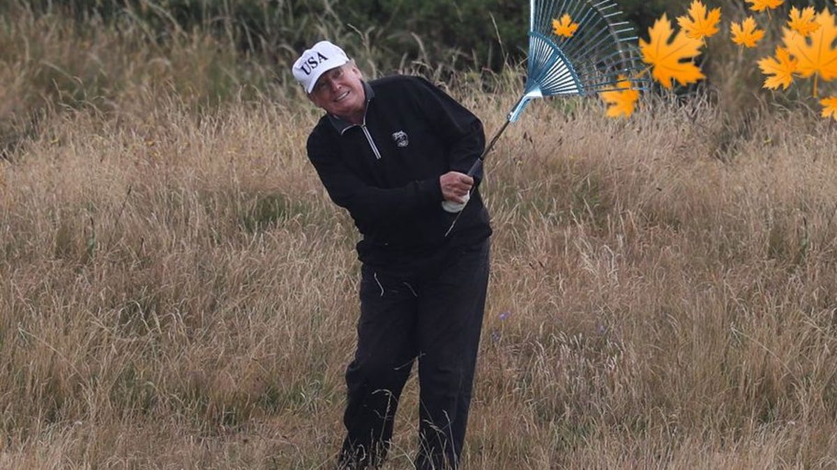 Finns Mock President Trump by Posting Forest Raking Photos Online