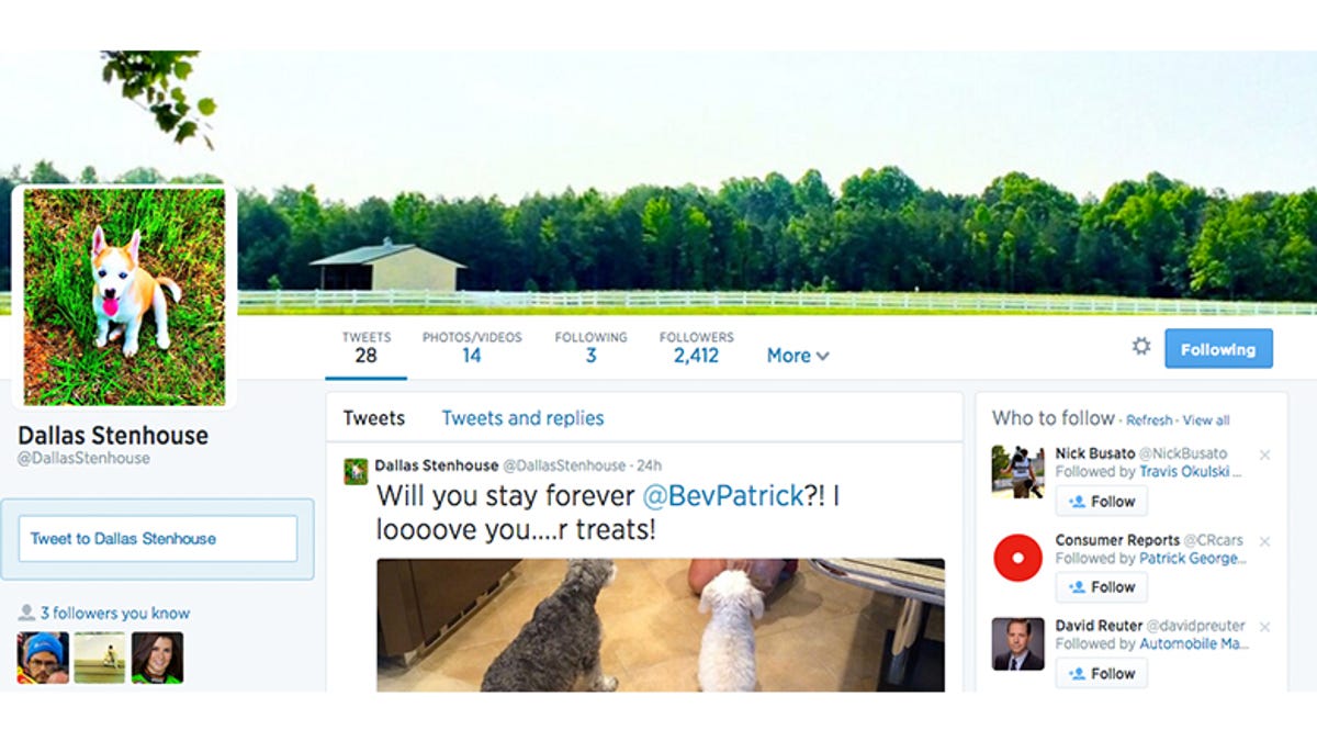 Why Does Danica Patrick S Dog Have More Twitter Followers