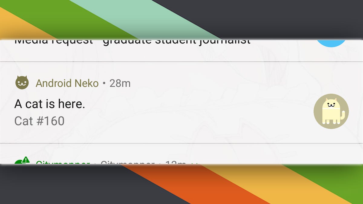 How To Play Google S Secret Neko Atsume Style Easter Egg In