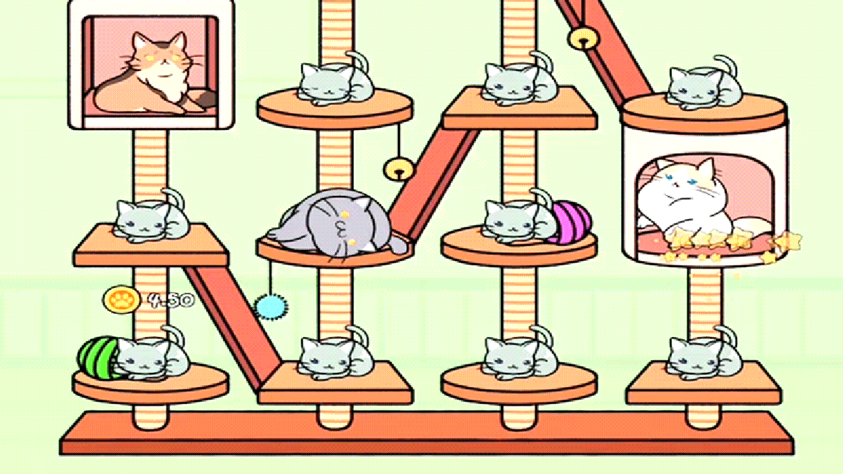 all the cats in cat condo