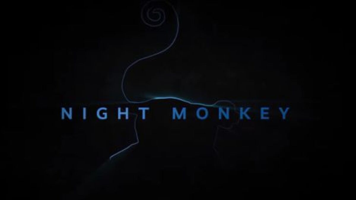 Sony Makes Spider Man An Official Night Monkey Movie Trailer Night monkey is a new european superhero who is decked out in all black, stealthily leaping through the streets. night monkey movie trailer