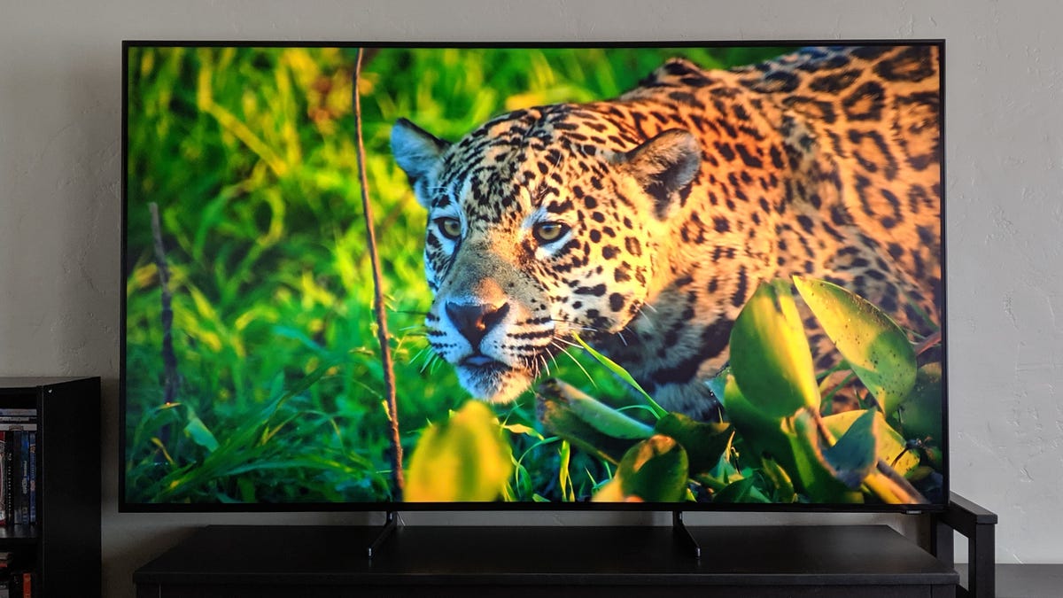 Samsung's 8K TVs Just Got a Whole Lot Cheaper