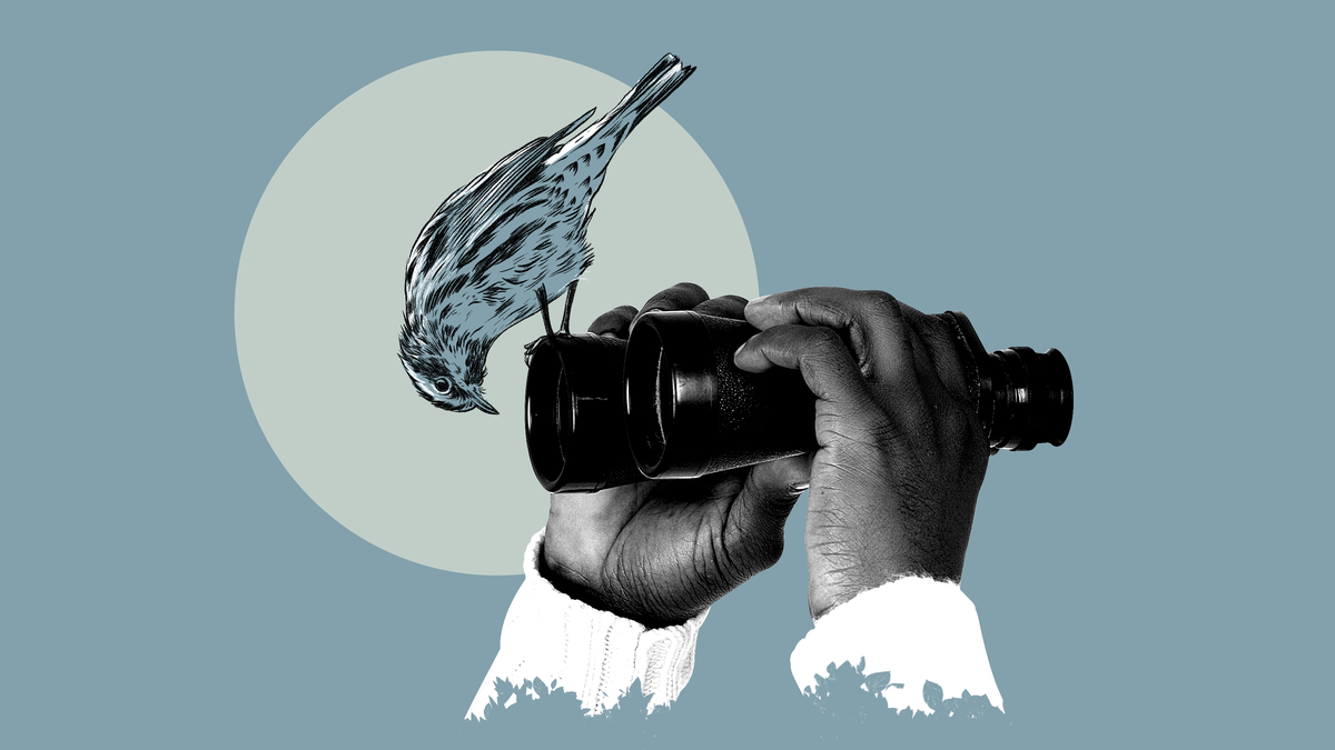 Why Black Birdwatchers Want to ‘Change the Whole Face of the Outdoors’