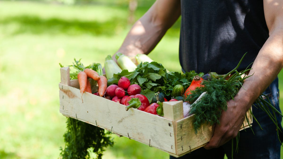 Is a Vegan Diet Best for Athletes?