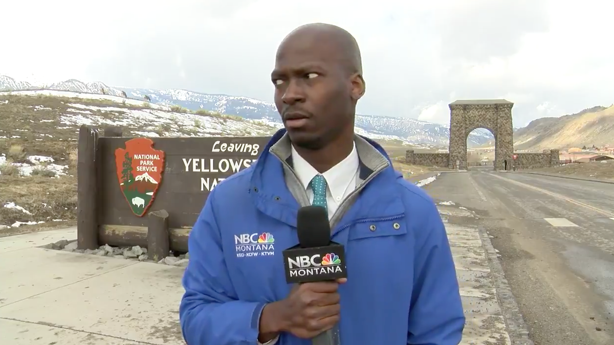 I Can Relate to This Black Reporter Getting the Fuck Away From a Herd of Bison