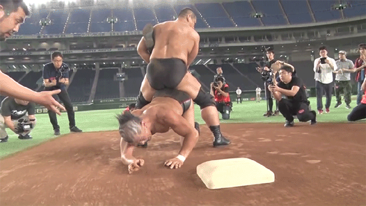 japanese gay men wrestling