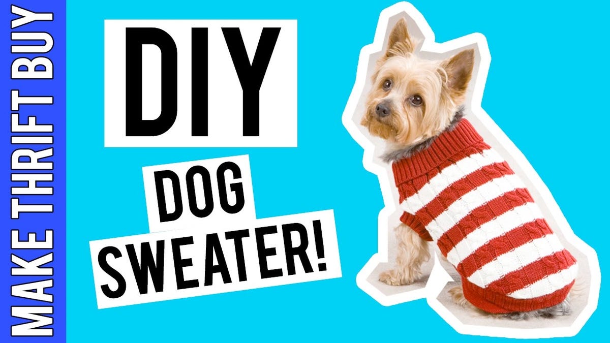 dog coat from old sweater