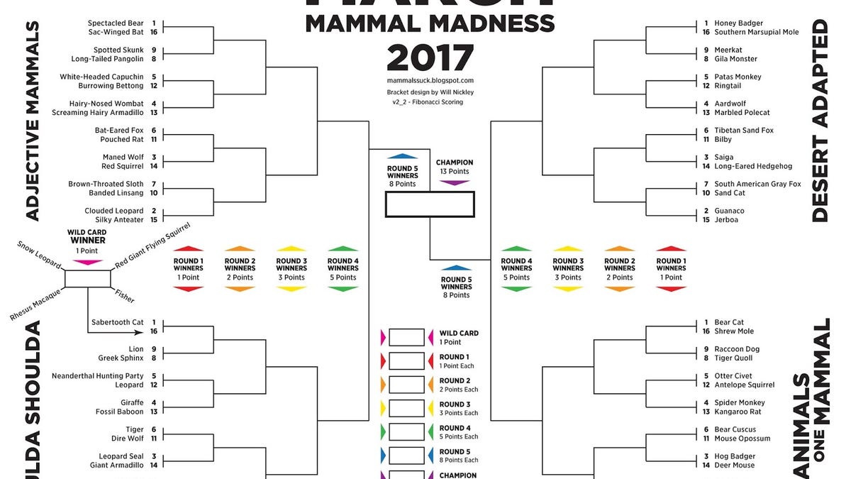 March Mammal Madness Is The Only Bracket You Need