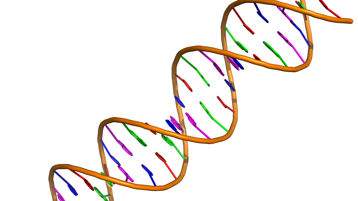 Scientists Debut Precise New Gene-Editing Technique That Overcomes Some of CRISPR's Problems