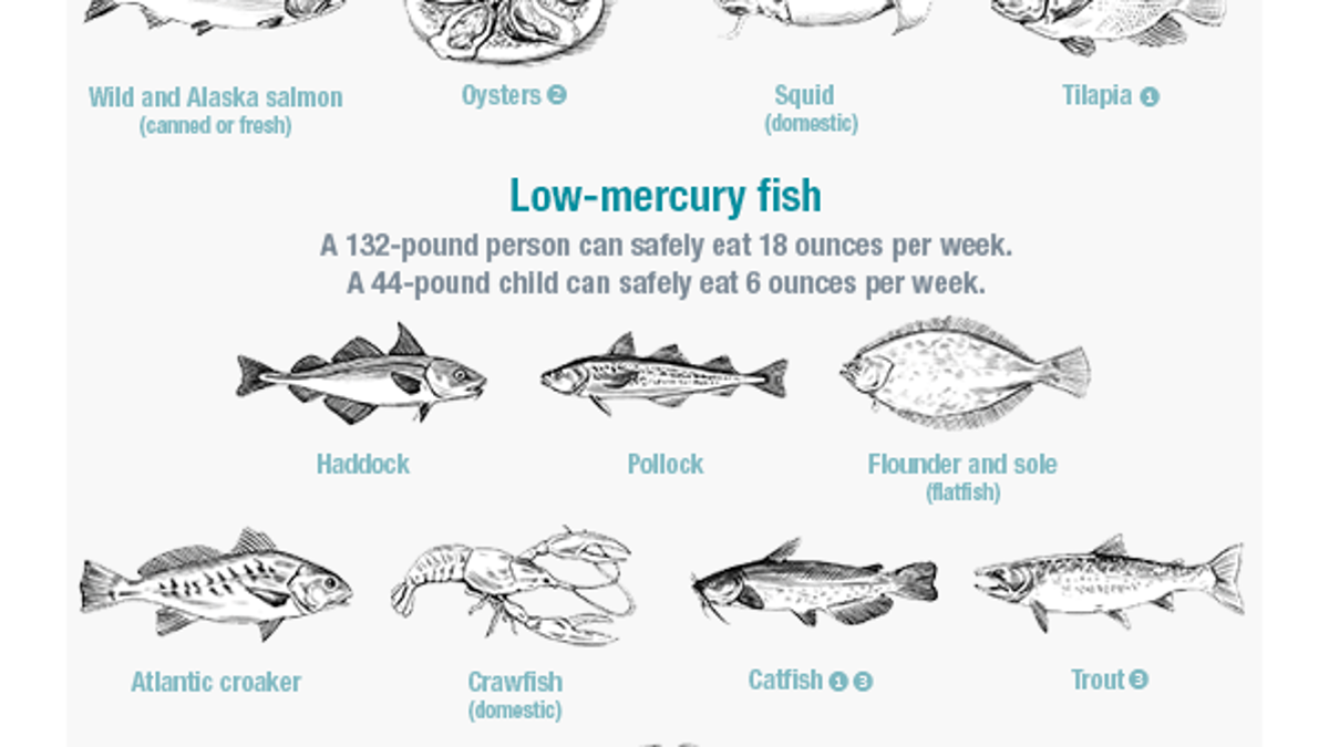 Mercury In Fish Chart