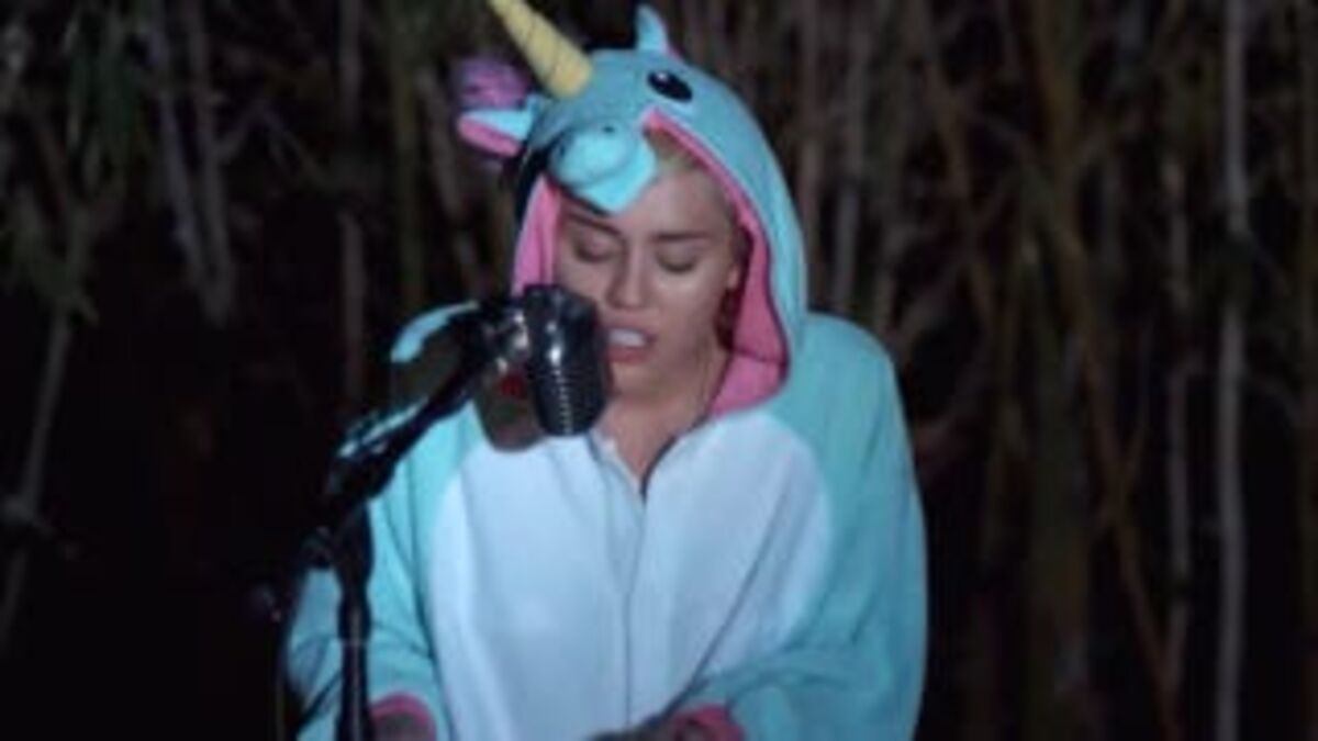 Here S The Sad Song Miley Cyrus Wrote About Pablow Her Dead Blowfish