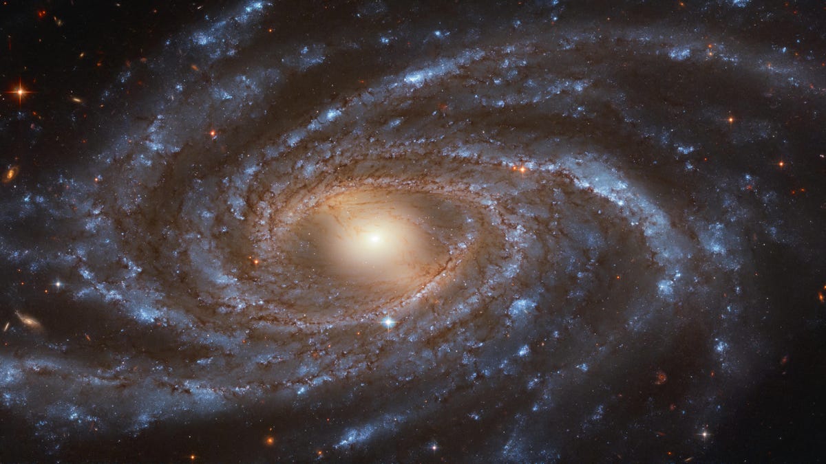 Hubble captures an amazing view of the spiral galaxy NGC 2336
