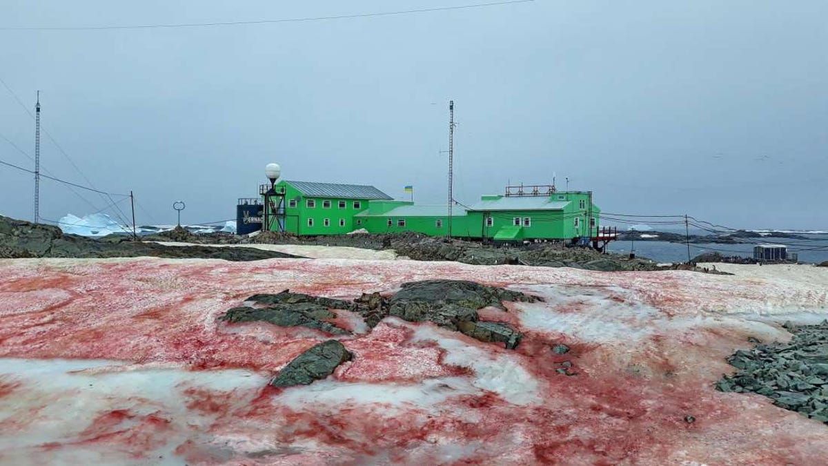 La Antártida amanece con imágenes de hielo rojo