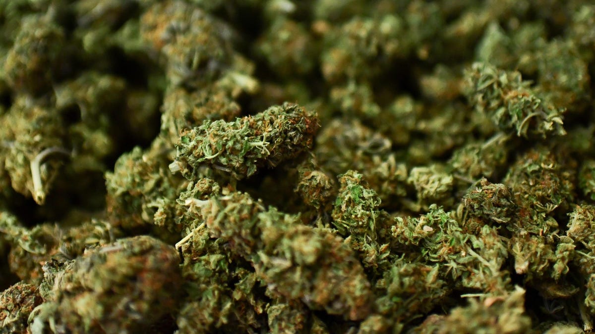 Cannabis Is Getting More Popular, Especially Among Depressed People