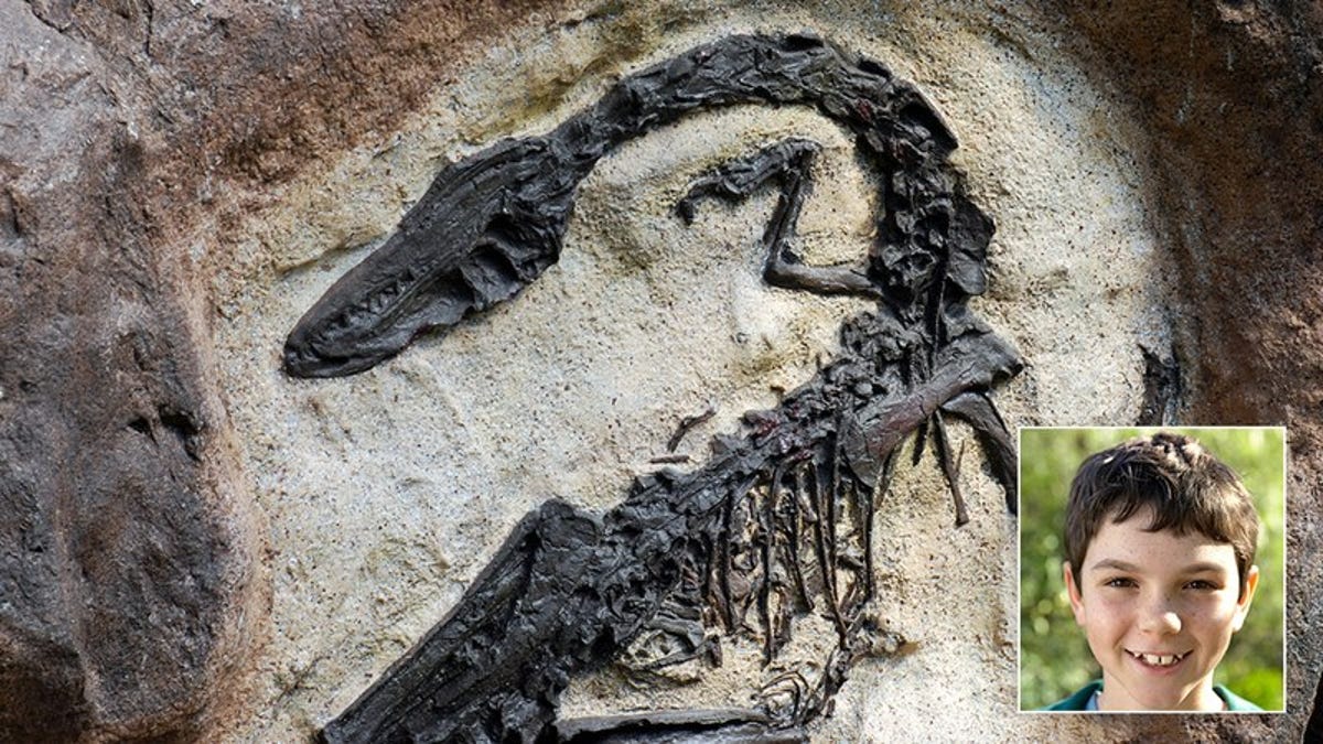 when was the first dinosaur fossil found