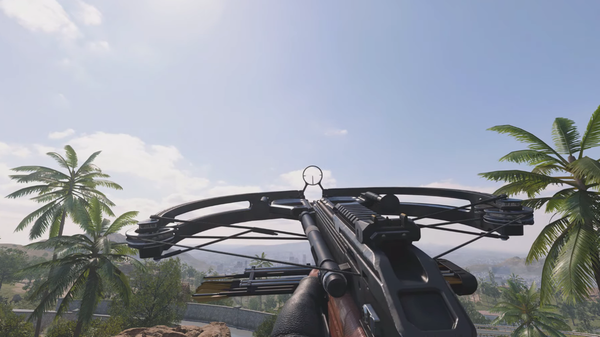 Activision Yanks Crossbow It was accidentally released early, even after players grinded time for it