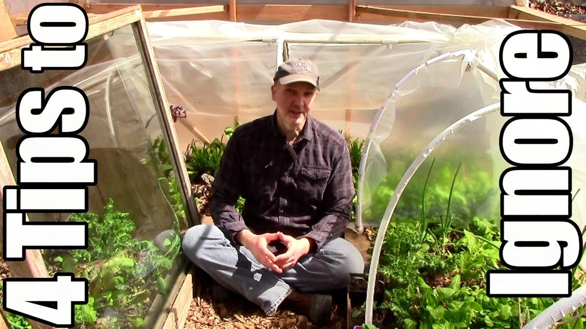 Don't Buy Ladybugs to Control Aphids, and Other Gardening Myths Debunked