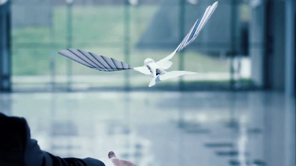 Artificial Feathers Let This Robotic Bird Fly With Incredible Agility