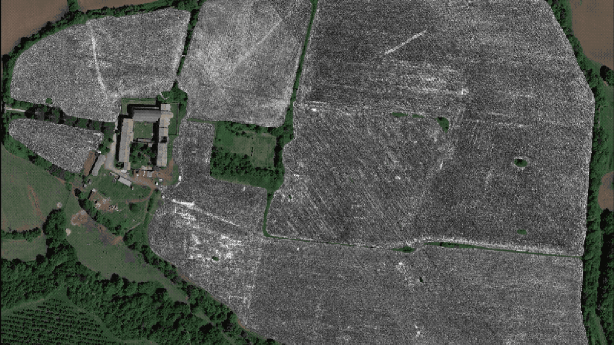 Ground-Penetrating Radar Reveals Entire Ancient Roman City