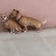 Kinja'd!!!