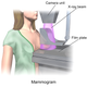 Illustration for article titled The Medical Screenings All Women Need, and When