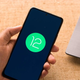 Illustration for article titled The Best Features in Android 12 Beta 2 (So Far)