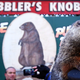 Illustration for article titled How to Watch Phil The Groundhog Tell Us When Our Suffering Will End