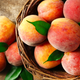 Illustration for article titled Now Throw Out Your Peaches, FDA Says