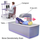 Illustration for article titled The Medical Screenings All Women Need, and When