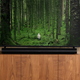 Illustration for article titled Your TV Speakers Are Terrible. Amplify Your Audio With the Best Soundbars, According to Gizmodo