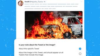 Image for You Do It: Twitter Outsources AI Image Detection to Its Users