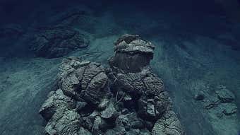 Image for Deepest Virus Ever Detected Unearthed by Scientists in the Mariana Trench